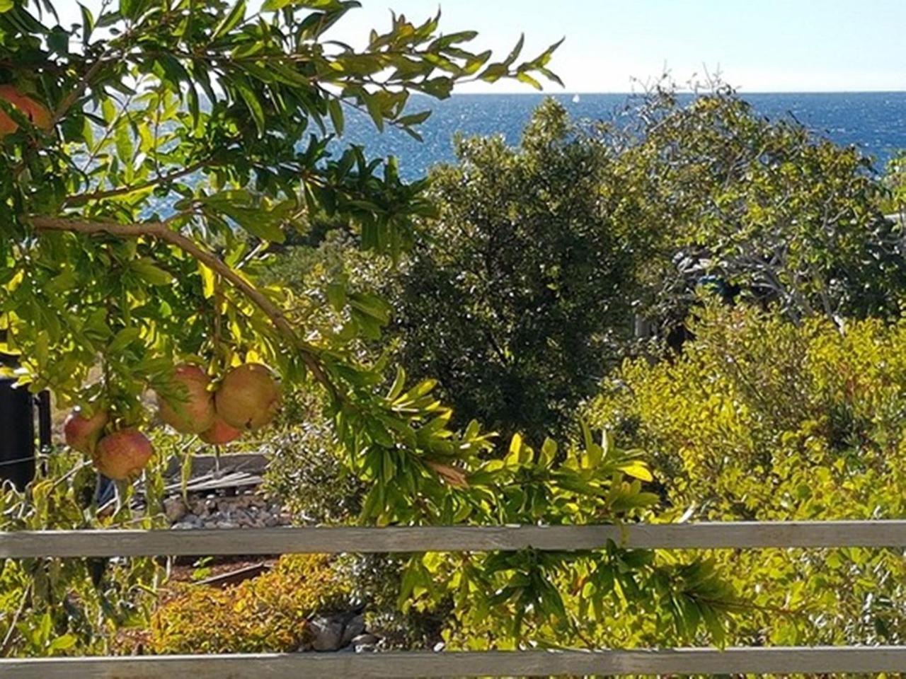 Modern Apartment In Primo Ten Burnji With Private Terrace Dolac Dış mekan fotoğraf